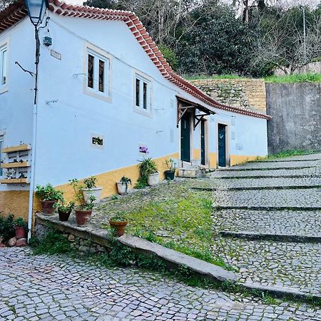 Villa Pe Do Castelo Casinha - Pet Friendly & Garage à Tomar Extérieur photo