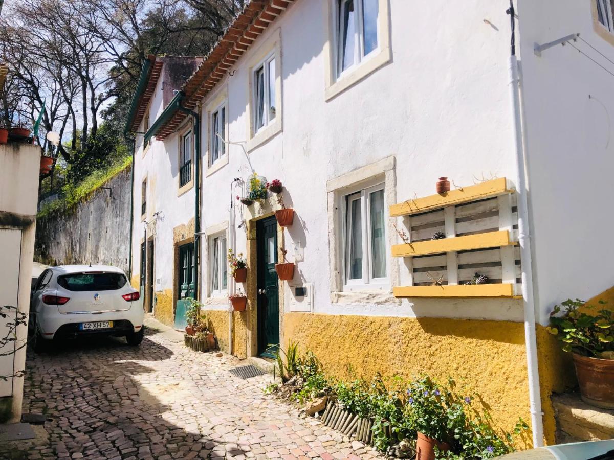 Villa Pe Do Castelo Casinha - Pet Friendly & Garage à Tomar Extérieur photo