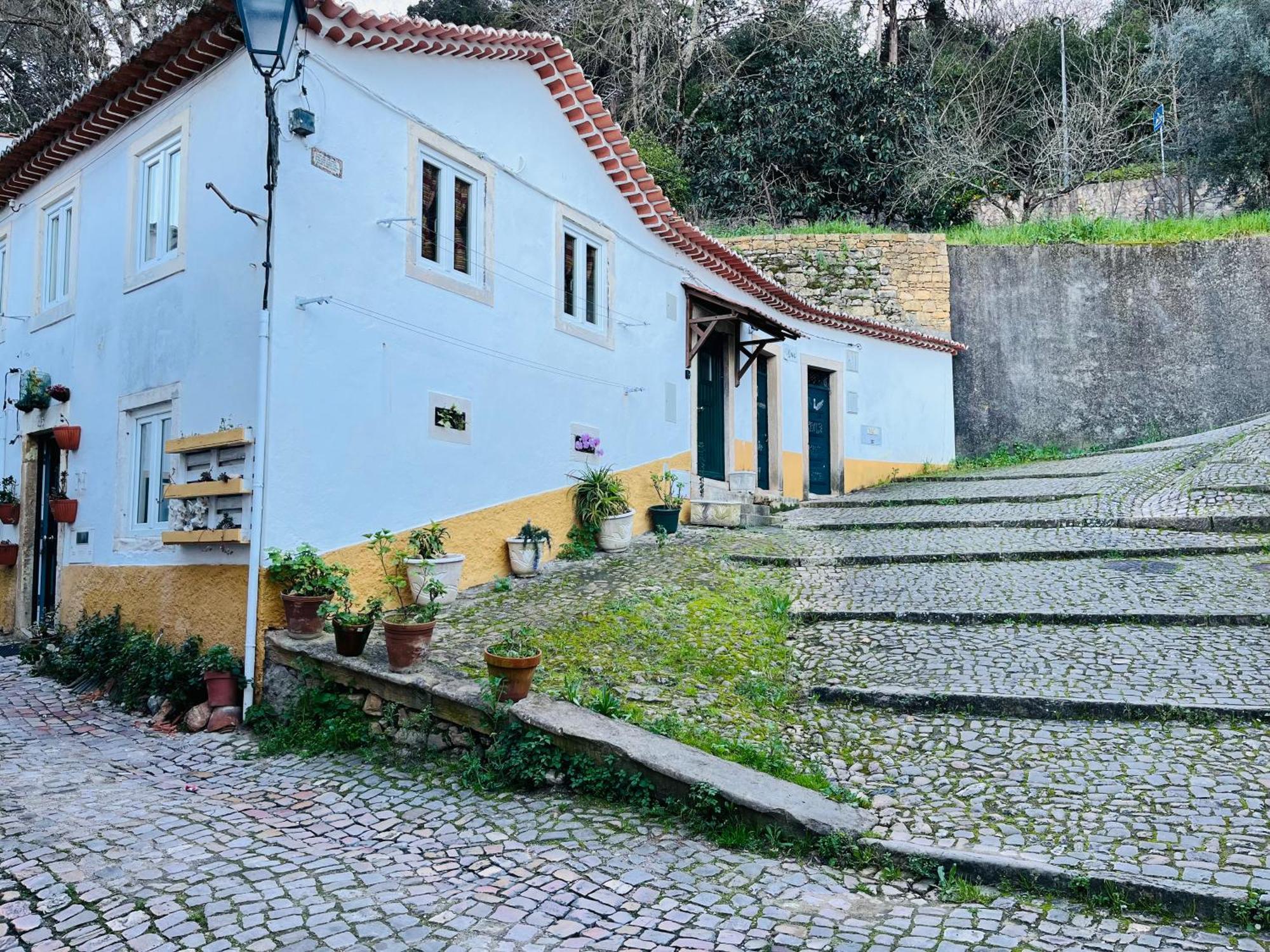 Villa Pe Do Castelo Casinha - Pet Friendly & Garage à Tomar Extérieur photo